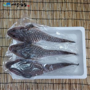 제수용 특대 양태(장대) 중량 500g 내외 크기 50cm 내외 2마리, 2개