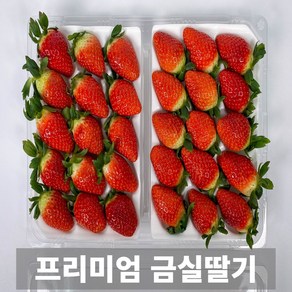 금메달농수산 농가직송 프리미엄 금실딸기, 1개, 750g (35구)