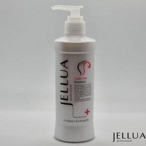 JELLUA 젤루아 스칼프 샴푸250ml/1000ml 탈모 지성두피, 1개, 250ml