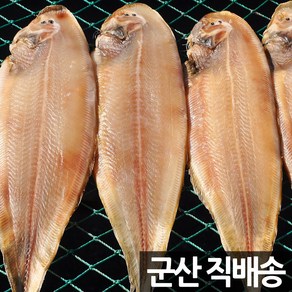 제사 제수용 반건조생선 세트 조기 장대 박대 병어 도미, 제수용 박대 5미 900g 내외, 1개