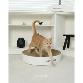 네네린도 고양이 원형 평판 초대형 스크래쳐, 1개, 본품, 웜화이트