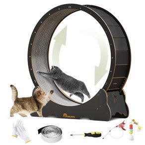 런캣 캣휠 롤러 실내사용 고양이 운동훈련 헬스 캣휠 원목색 다양한 크기, XL, 검정색