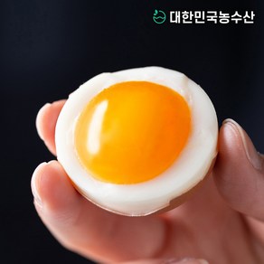 대한민국농수산 촉촉한 반숙란 30구 반숙 계란, 1개