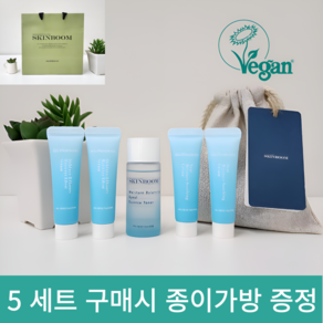 스킨붐 체험화장품 3종 세트 토너 세럼 크림 n 여행용화장품, 1개