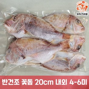 삼천포 국내산 남해안 도미 황돔 손질 반건조 꽃돔 20cm 내외 4-6미, 1세트, 4-6마리