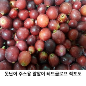 못난이 알알이 수입 거봉 포도 2kg 4kg 레드글로브 적포도 와인 쥬스용 고당도