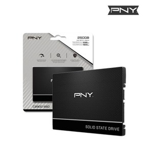 [공식인증점] PNY SSD CS900 제이씨현 (정품)