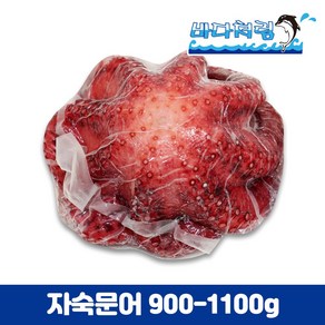 자숙문어 900/1100g 필리핀 냉동 제수용 숙회용 데친문어, 1개