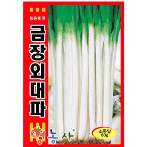 영농사 금장외대파 씨앗 80g 중포장 대파종자, 1개, 금장외대파 중포장 80g