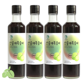 방주명가 5년숙성 산골 개복숭아청, 4개, 480ml