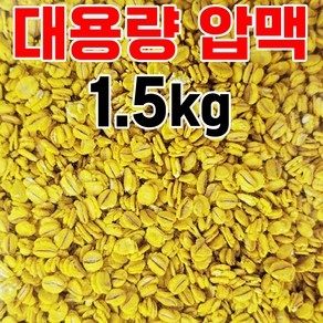 황금보리 시인성이 탁월한 대용량 노란압맥 1.5kg 벌크 감성돔 벵에돔 집어제 옥수수대용, 1개