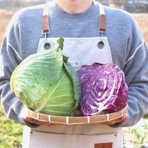 국내산 깐 양배추 적채 적양배추 겉잎손질 산지직송, 적양배추(적채), 3개, 1kg