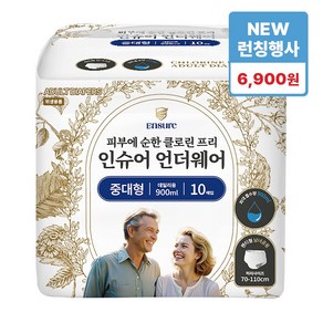 [런칭특가] 인슈어 언더웨어 성인용기저귀 팬티형 데일리용 900ml 10매, 1개, 10개입, 중대형