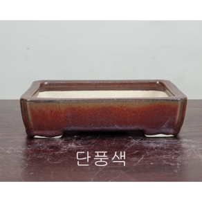 29. 손바닥정원 직사각형 분재화분 승전분, 짙은녹색, 1개