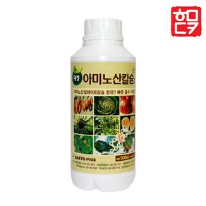 대유 대정아미노산칼슘 500ml + 호미닷컴 전용 약수저 세트, 1개