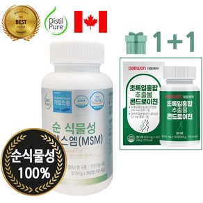 [직영 판매처] 디스틸퓨어 순식물성 MSM 엠에스엠 510mg (360정/3개월분) 1개 +대원제약 콘드로이친 (60정) 1개 단독 대박 증정! 식이유황 관절 영양제, 360정