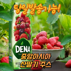 데나 천연 산딸기 포도 체리 딸기 혼합주스 (과즙100%) DENA RASPBERRY/GRAPE/CHERRY/STRAWBERRY JUICE EXPERT