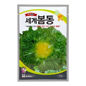 모칸도 세계종묘 쌈채소씨앗 봄동 20g, 1개