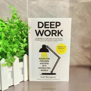 Deep Work Rules for Focused Succes 영어원서