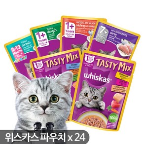 위스카스 고양이주식 파우치, 24개, 시니어 참치80g