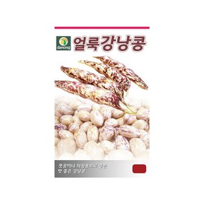 (DN) 얼룩강낭콩(왜성) 씨앗(30g), 1개