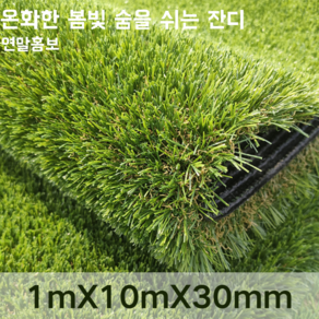 GAPINO 인조잔디 실용적인 자연스러운 고급잔디 1M*10M*30mm, 1개