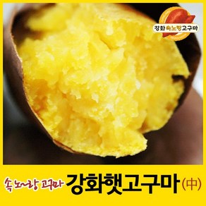 2024년 강화속노랑고구마 강화도호박고구마 햇고구마 [중간크기] 5kg 10kg 선택., 1박스, 중간크기 10kg