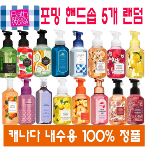 (캐나다 직송) 배스앤바디웍스 포밍핸드솝 손세정제 5개 랜덤 Bath and Body Works Foaming Hand Soap