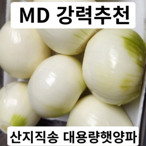 양파 햇양파 업소용 급식용 대용량 식당용 5kg 10kg 20kg 산지직송 누빌, 1박스, 양파 10Kg 중