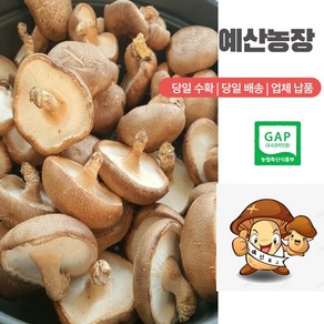 GAP인증 [예산표고버섯 산지직송] 생표고버섯 못난이 는 맛이나 영양에 차이가 없습니다 .가정용으로 추천 육수용 가루용 김장용 대량용 못난이 -1KG