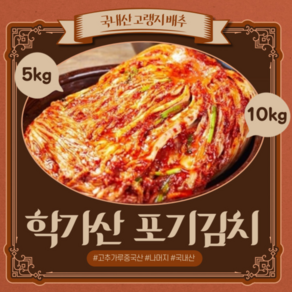 l 품담식품관 l 안동 학가산 정품 포기김치 (일반) 당일발송 l 아이스박스포함, 10kg, 1개, 아이스박스 x 포기김치