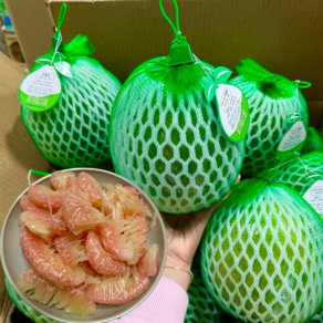 PINK POMELO 베트남 자몽 핑크 포멜로 베트남 그린 자몽, 1박스, 1.2kg 내외, 포멜로 1과 (중과)