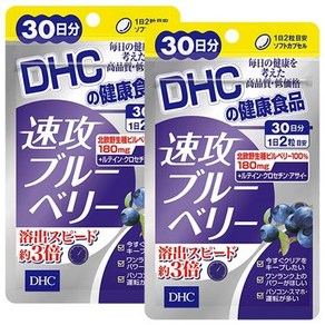 DHC 속공 블루베리 약 60일분 120알, 2개