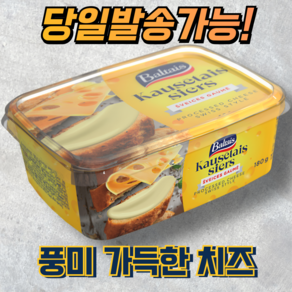 발타이스 스위스 스타일 크림치즈 BALTAIS 