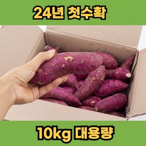 [대용량]햇밤고구마 퍽퍽한 해남 황토 고구마