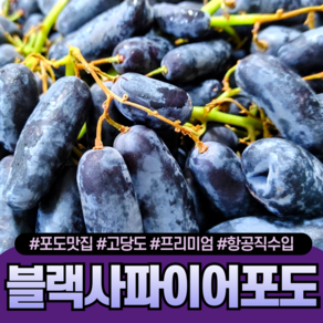 [다정한과일] 최고당도 씨없는 블랙사파이어포도 가지포도, 1박스, 2kg