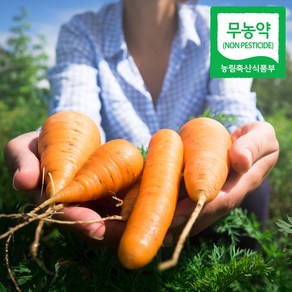 친환경인증 무농약 흙당근 중, 1개, 5kg