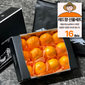 당도선별 제주 레드향 특상품 선물용, 1박스, 2kg(7과내외)