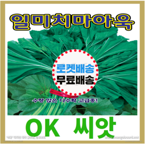 [OK씨앗] [일미치마아욱] 아욱씨앗 종자(오케이씨앗), 1개