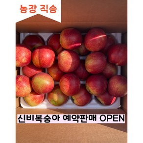 [산지 직송] 달리팜 신비 복숭아 로얄과 시즌 한정 고당도 프리미엄 신비복숭아 (예약판매 6/10 순차적 출고), 1박스, 1kg (7~11과)
