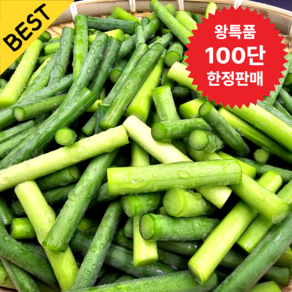 [한정수량] 제철밥도둑 국내산 남해 마늘쫑, 1개, 1kg