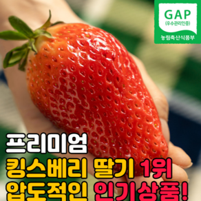 논산딸기 설향 킹스베리 딸기 산지직송 명품, 특특 2팩 35~40g, 1개