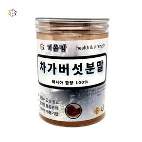 기운팜 러시아 차가버섯분말 120g 밀폐용기*262ys, 1개