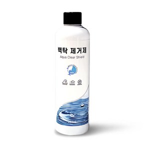 MAC 백탁 제거제 250ml, 1개