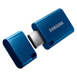 삼성전자 타입 -C USB 3.1 U 휴대폰 플래시 드라이브, 1개, 256GB