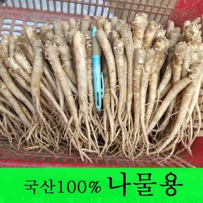 [금산도라지] 직접재배한 생도라지1kg >산지직송>국산도라지 약도라지 엑기스용 나물용 무침 정과용 배즙용 *국산100%*