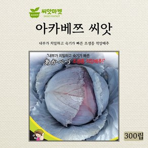 세계종묘 아카베쯔 적양배추 씨앗 300립, 1개