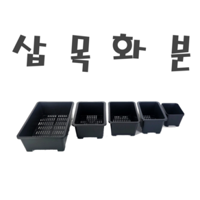 청연삽목화분 직사각플라스틱화분 파종분, 1개