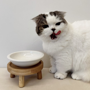 안심 원목 테이블 고양이 강아지 프리미엄 원목 식탁 [식기 높이 가능] 집알이