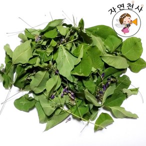 국산 전라도 야생 참 싸리나무잎 꽃100g 직접채취 깨끗한 손질 제품, 1개, 100g